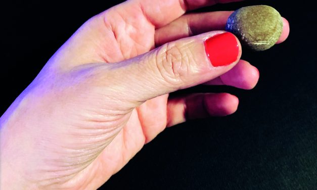 A stone is a stone is a stone is a stone à Nice