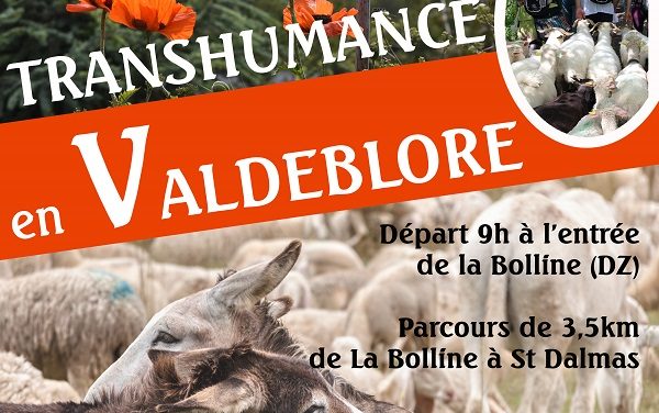 Transhumance en Valdeblore