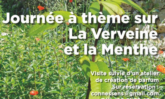 Journée à thème Verveine et Menthe