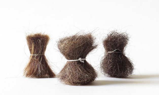 Exposition Simon Couvin – A deux pas du bois