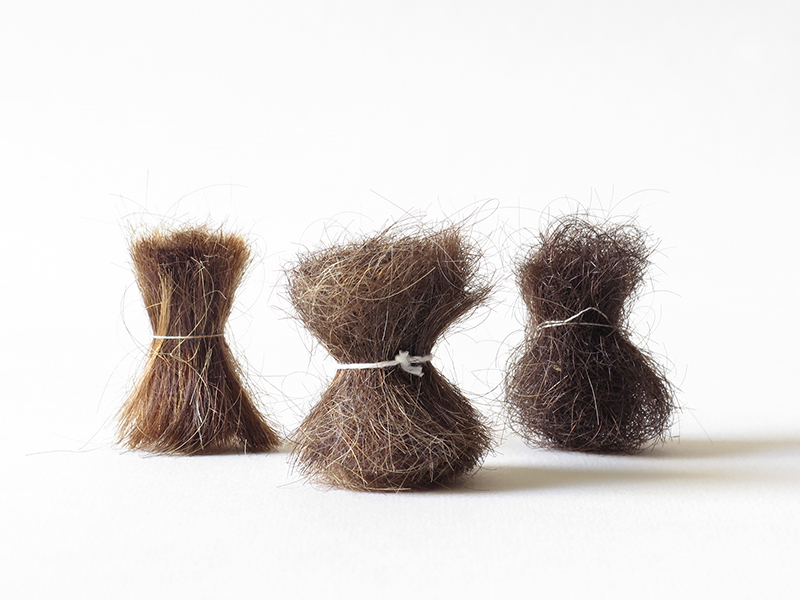 Exposition Simon Couvin – A deux pas du bois