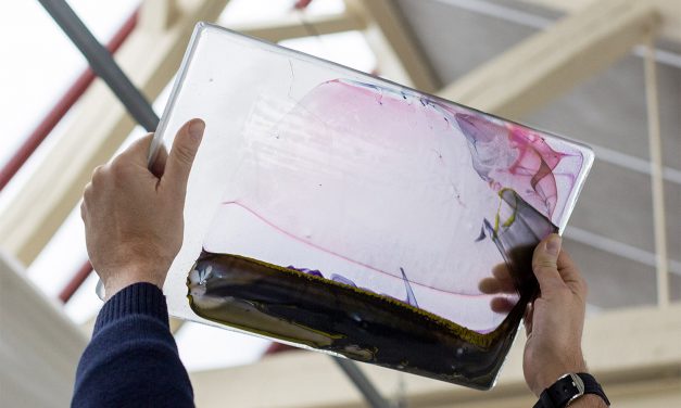 Emmanuel Régent – Les silences de Maeterlinck