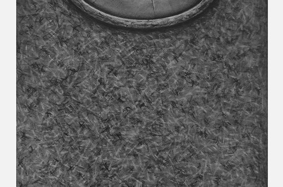 Exposition Alain Lestié – Stances détachées