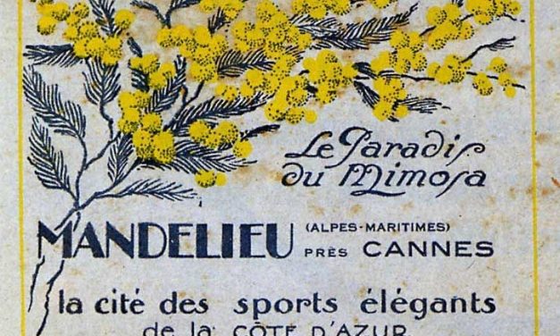 Exposition La saga du Mimosa à Mandelieu