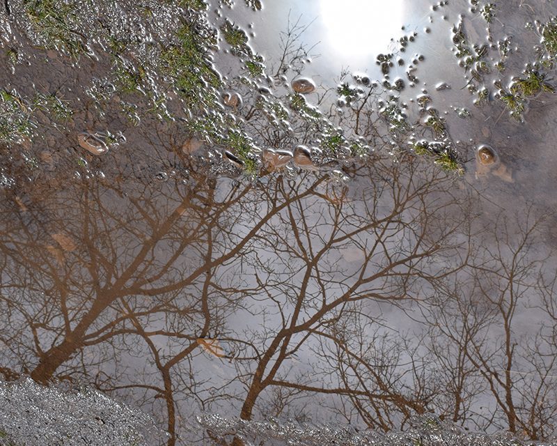 Exposition Sylvie Teissier – Eau de là