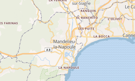 A la découverte du mimosa