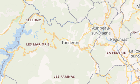 Fête Patronale de la Saint Antoine