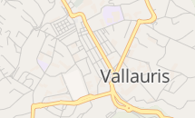 THE LOW BUDGET MEN en concert