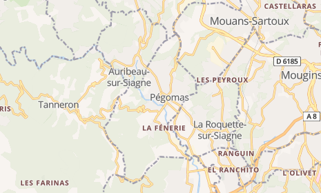 Tsigomania en concert