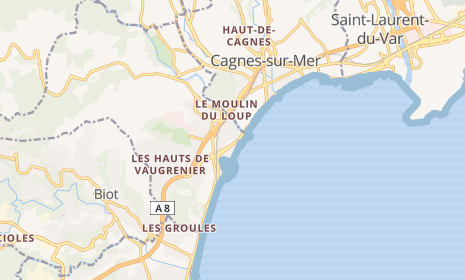 Vide Grenier Géant Casino VilleneuveLoubet